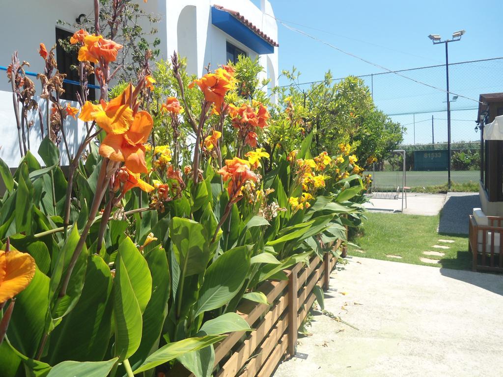Evi Apartments And Studios เธโอโลกอส ภายนอก รูปภาพ