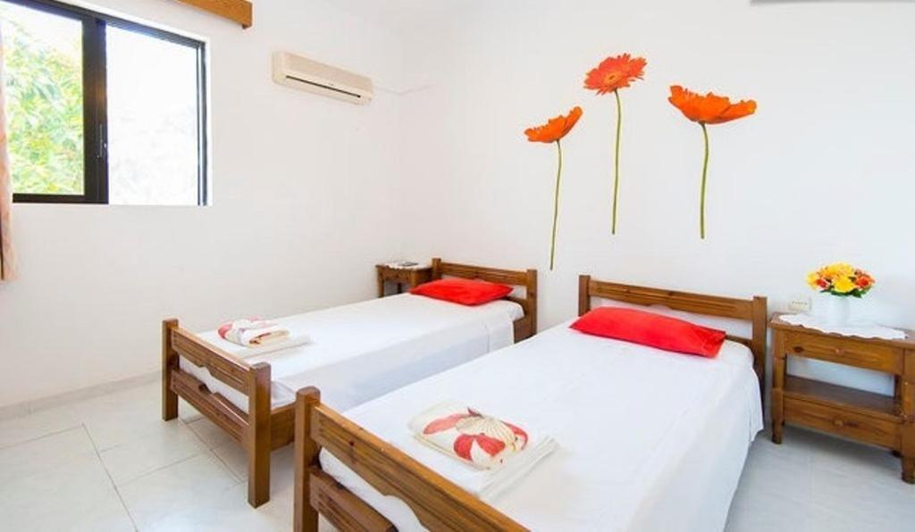 Evi Apartments And Studios เธโอโลกอส ห้อง รูปภาพ